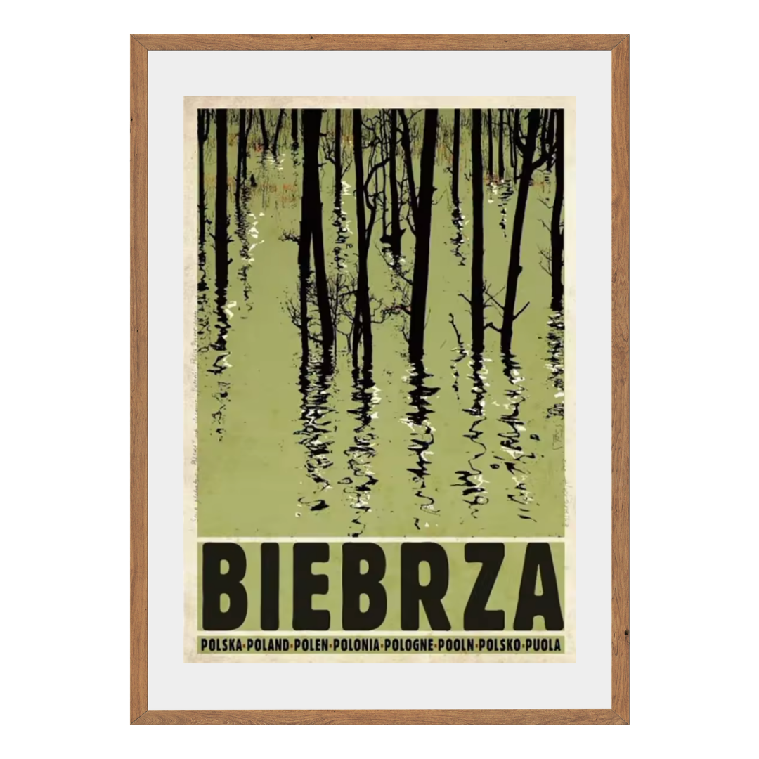Biebrza Wall Art Canvas Print
