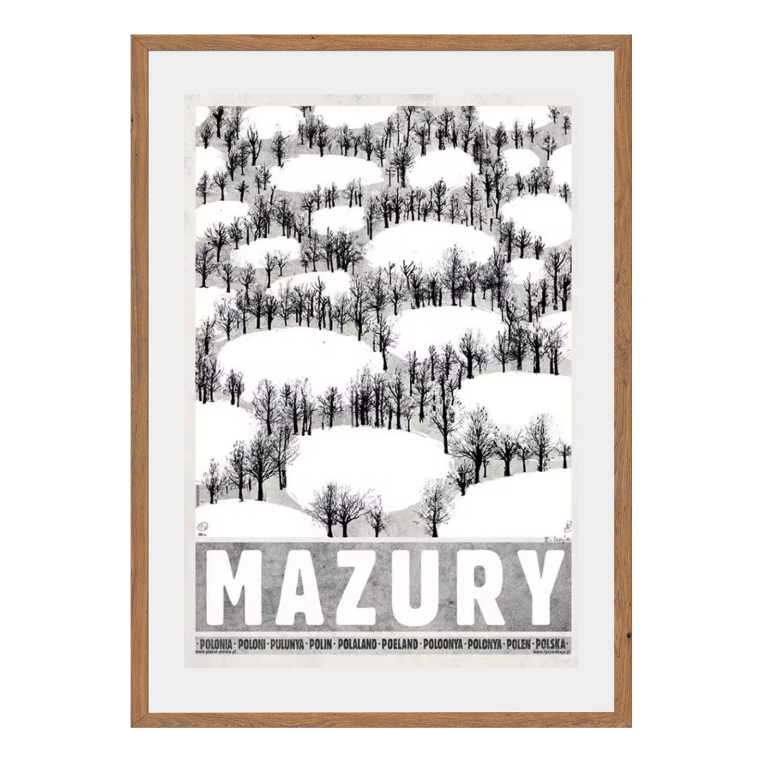 Mazury Wall Art Canvas Print