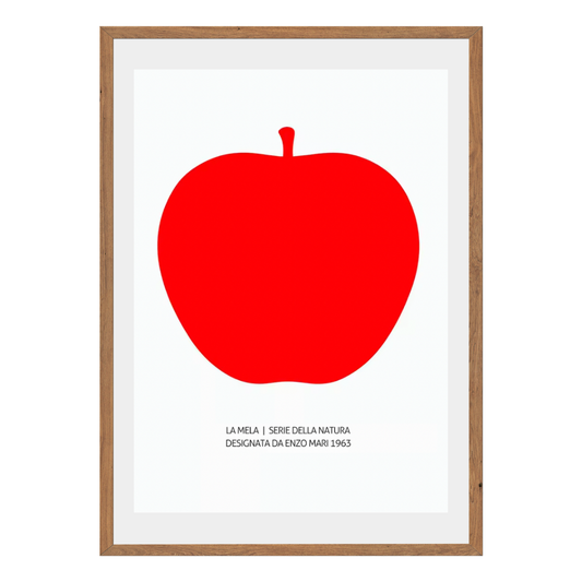 La Mela | Serie Della Natura Designata Da Enzo Mari 1963 Wall Art Canvas Print