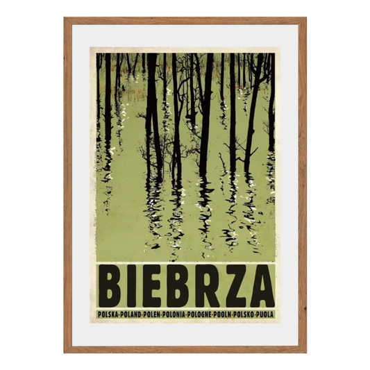 Biebrza Wall Art Canvas Print