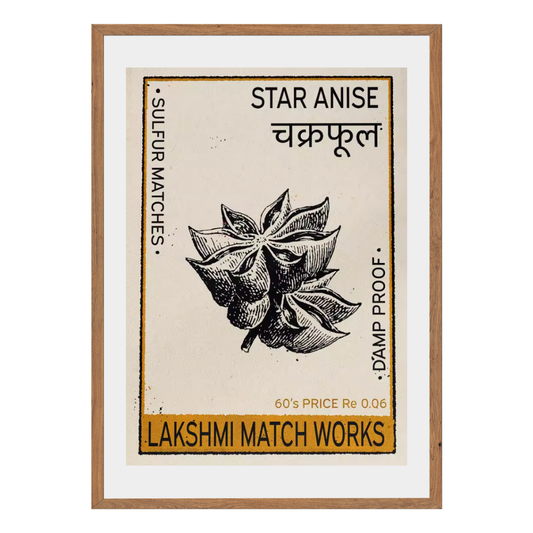 Star Anise Wall Art Canvas Print